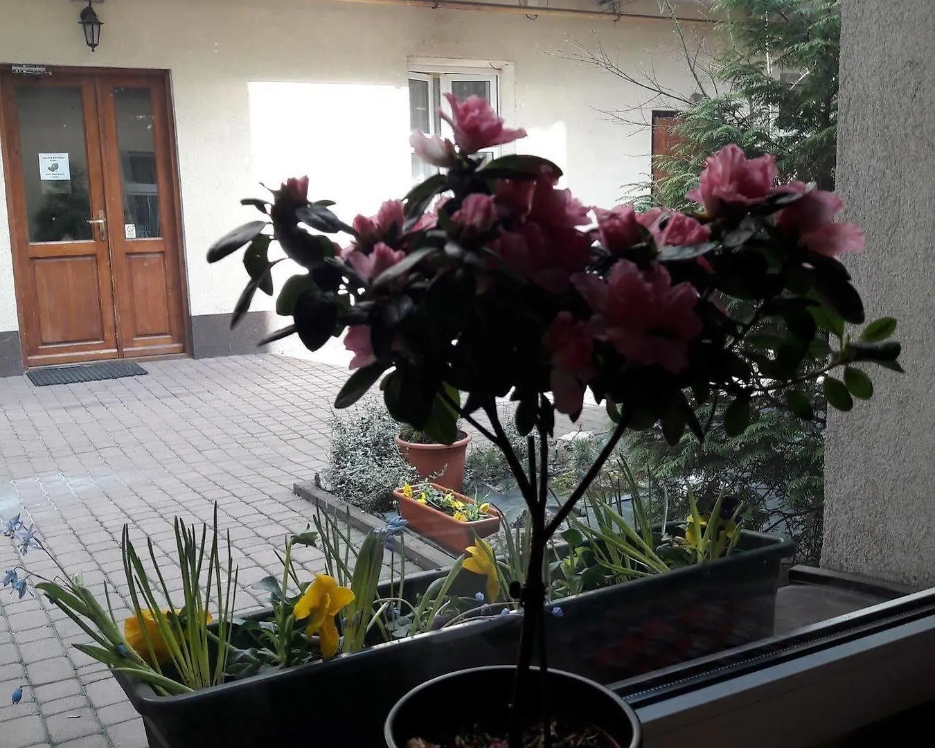 Nobel Suites Cracovia